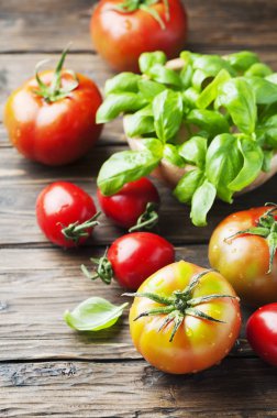 Yeşil fesleğen ve ftesh domates