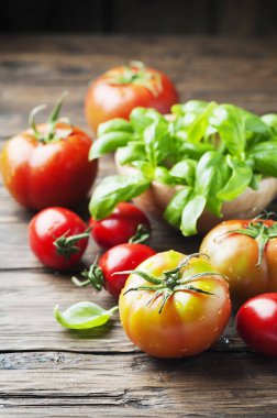 Yeşil fesleğen ve ftesh domates