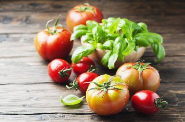 Yeşil fesleğen ve ftesh domates