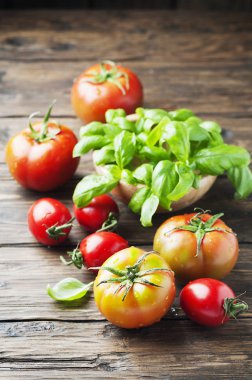 Yeşil fesleğen ve ftesh domates