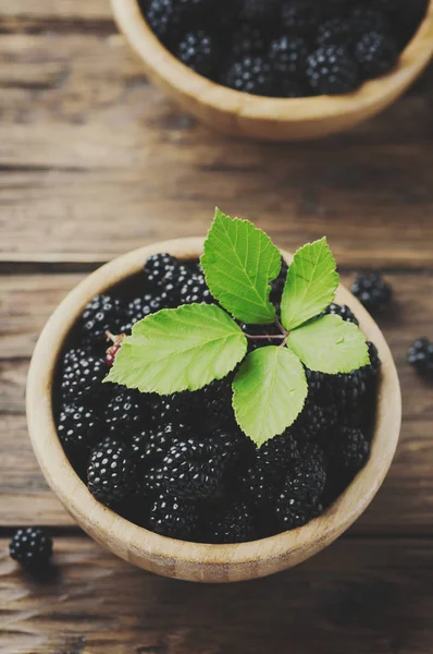 甜甜的野黑莓 — 图库照片