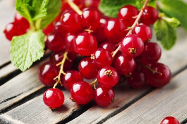 Kırmızı kuş üzümü ve nane