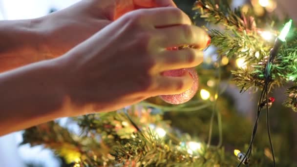 Γυναικεία χέρια διακοσμεί χριστουγεννιάτικο έλατο — Αρχείο Βίντεο
