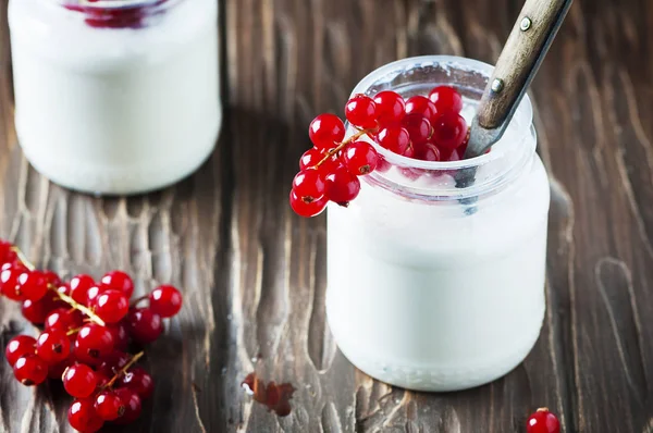 Yogurt with sweet red currant — Stock Photo, Image