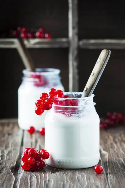 Jogurt s sladkého červeného rybízu — Stock fotografie