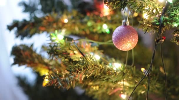 Video of Christmas tree with lights — Stock Video