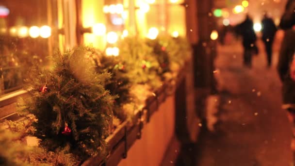 Petits sapins dans des pots de fleurs en plein air — Video