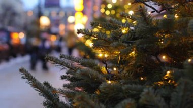 Noel ışıkları ve Saint Petersburg ağaçlarda