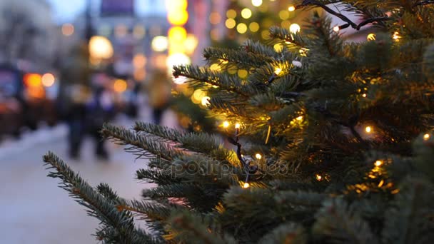 Boże Narodzenie światła i drzew w mieście Petersburg — Wideo stockowe