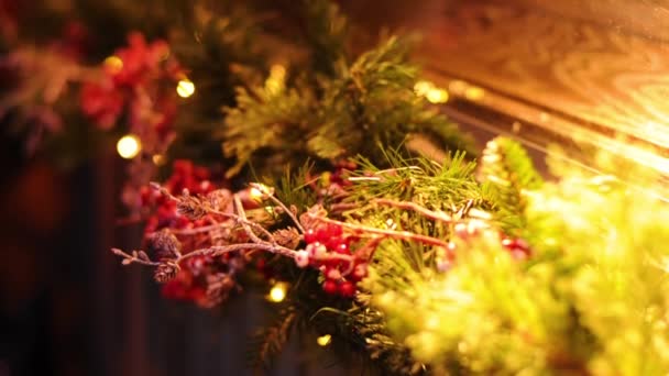 Weihnachtsbeleuchtung und Bäume in St. Peter — Stockvideo