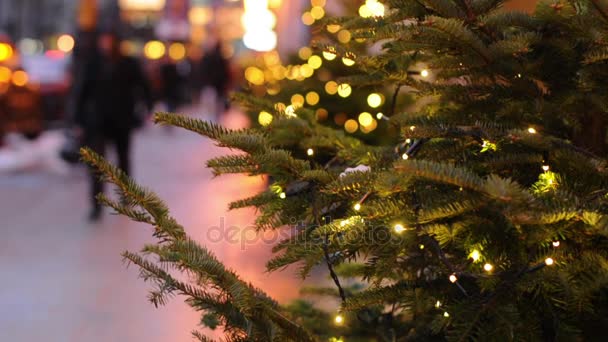 Weihnachtsbeleuchtung und Bäume in St. Peter — Stockvideo