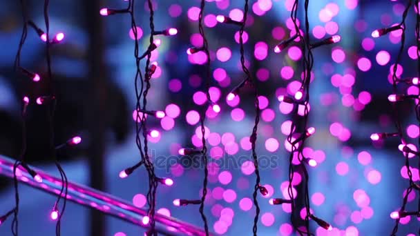 Boże Narodzenie światła i drzew w mieście Petersburg — Wideo stockowe