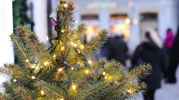 Tallinn Noel cadde süslemeleri — Stok video