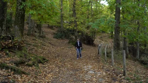 Joven Caminante Bosque Otoño — Vídeos de Stock