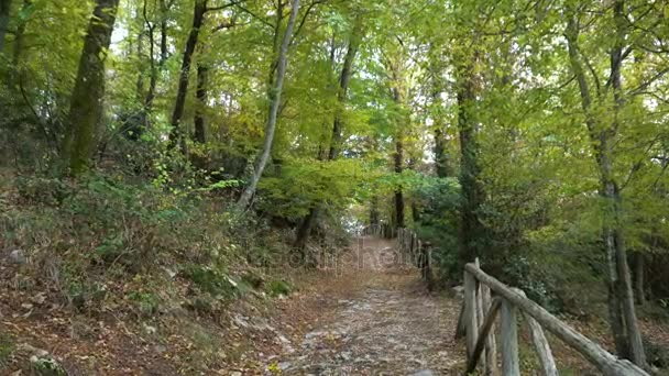 Rome, Italie, 4 novembre 2017 : vue sur la forêt d'automne en Italie 