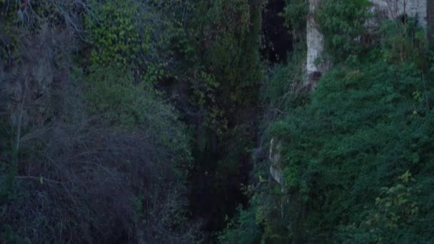 秋のチボリ城の周りの場所を見る — ストック動画