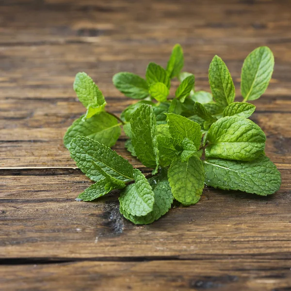 Fresh green mint on the wooden table — Stock Photo, Image