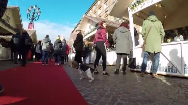 Hund Vintern Julmarknad Italien — Stockvideo