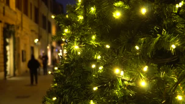 Close View Christmas Trees Street — Stock Video