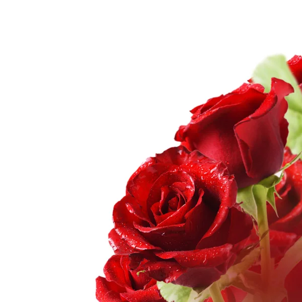 Κολάζ Κόκκινα Τριαντάφυλλα Και Λευκό Φόντο — Φωτογραφία Αρχείου
