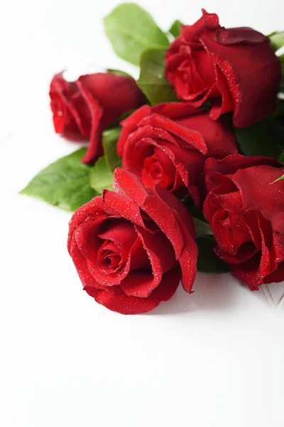 Red Fresh Roses Bouquet Isolated White Background — Stock Photo, Image