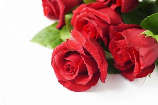 Bouquet Roses Rouges Fraîches Isolé Sur Fond Blanc — Photo