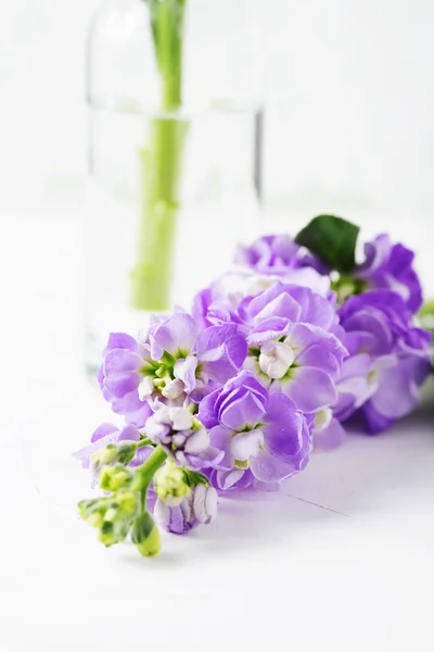 Lilac spring flowers near transparent glass vase