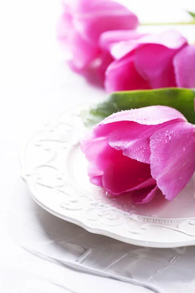 Κλείστε Την Προβολή Της Ροζ Τουλίπες Στο Πιάτο Λευκή Πορσελάνη — Φωτογραφία Αρχείου