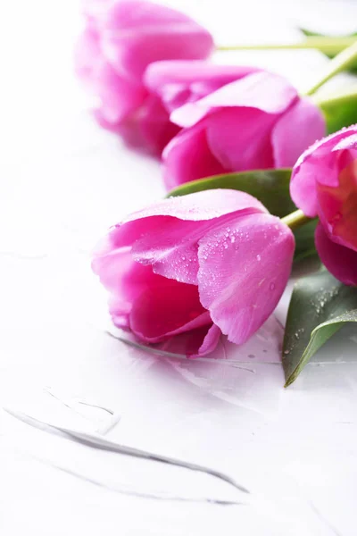 Close View Pink Tulips Stone Background — Stock Photo, Image