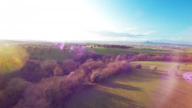 Çiçek açan ağaçlar ile yeşil alanının üstündeki günbatımı