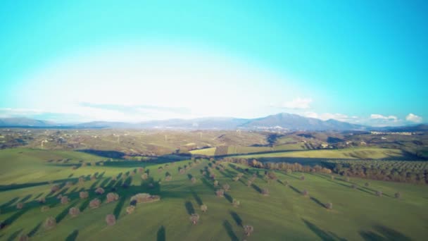 Zonsondergang Boven Groene Weide Met Bloeiende Bomen — Stockvideo