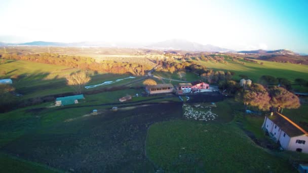 Luchtfoto Van Gebouwen Groene Weide Bij Zonsondergang — Stockvideo