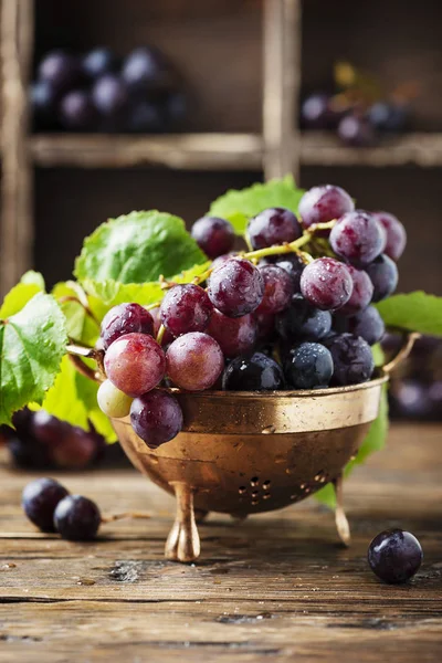 Red sweet grape — Stock Photo, Image