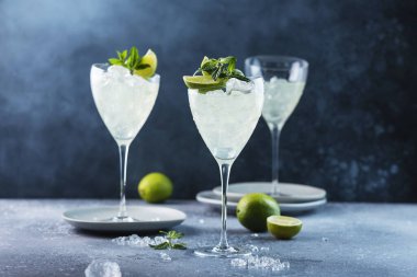 Yaz kokteyli mojito ile rom, limon ve nane, seçici odak resmi