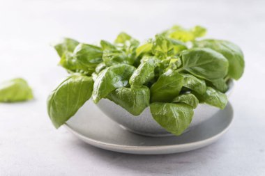 Seramik kasede taze yeşil fesleğen, seçici odak görüntüsü