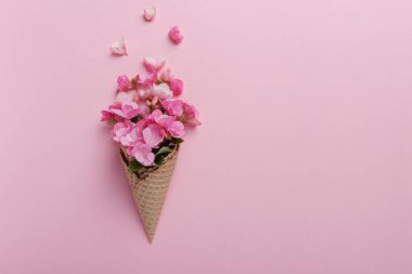 Yaz asgari konsepti. Pembe pastel arka planda pembe begonya çiçekli dondurma külahı. Düz yatıyordu. Kopya sürgülü üst görünüm. Yaratıcı yerleşim