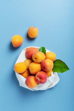 Biyolojik sağlıklı gıda ve sıfır atık kavramı. Mavi arka planda pamuk bir alışveriş torbasında taze biyolojik kayısılar. Fotokopi alanı olan en üst görüntü