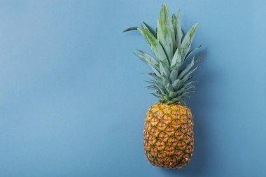 Mavi arka planda taze ananas. Yaz konsepti, metin için bir kopya alanı ile üst görünüm