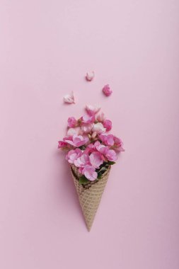 Yaz asgari konsepti. Pembe pastel arka planda pembe begonya çiçekli dondurma külahı. Düz yatıyordu. Kopya sürgülü üst görünüm. Yaratıcı yerleşim