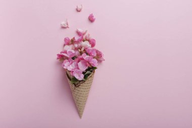 Yaz asgari konsepti. Pembe pastel arka planda pembe begonya çiçekli dondurma külahı. Düz yatıyordu. Kopya sürgülü üst görünüm. Yaratıcı yerleşim