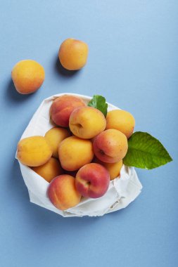 Biyolojik sağlıklı gıda ve sıfır atık kavramı. Mavi arka planda pamuk bir alışveriş torbasında taze biyolojik kayısılar. Fotokopi alanı olan en üst görüntü