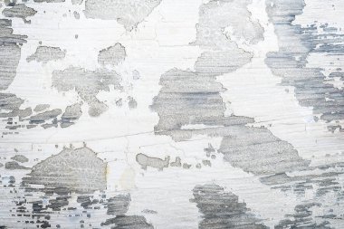 Tüm tasarım için boş şablona sahip soyut gri doku ve kaba duvar arkaplanı veya duvar kağıdı