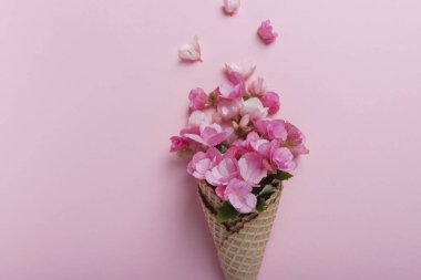 Yaz asgari konsepti. Pembe pastel arka planda pembe begonya çiçekli dondurma külahı. Düz yatıyordu. Kopya sürgülü üst görünüm. Yaratıcı yerleşim