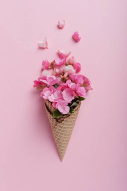 Yaz asgari konsepti. Pembe pastel arka planda pembe begonya çiçekli dondurma külahı. Düz yatıyordu. Kopya sürgülü üst görünüm. Yaratıcı yerleşim