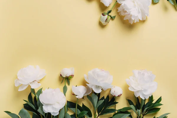 Peonía Blanca Elegante Sobre Fondo Amarillo Concepto Una Tarjeta Felicitación —  Fotos de Stock