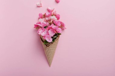 Yaz asgari konsepti. Pembe pastel arka planda pembe begonya çiçekli dondurma külahı. Düz yatıyordu. Kopya sürgülü üst görünüm. Yaratıcı yerleşim