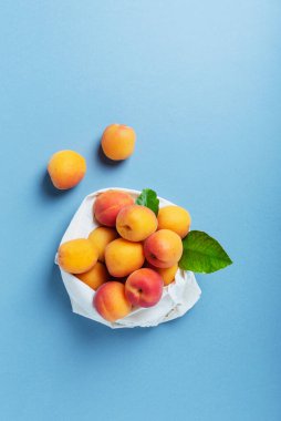 Biyolojik sağlıklı gıda ve sıfır atık kavramı. Mavi arka planda pamuk bir alışveriş torbasında taze biyolojik kayısılar. Fotokopi alanı olan en üst görüntü