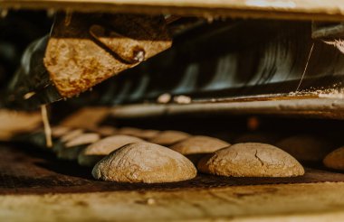 Fırından taze çörek. Konveyör ile ekmek. Ekmek pişirme. Atölye ekmek yapımı için. Beyaz ekmek fırında. Sıcak buns. Şekerlemeler.