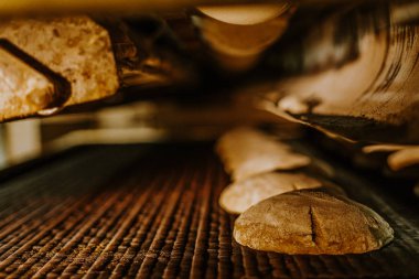 Fırından taze çörek. Konveyör ile ekmek. Ekmek pişirme. Atölye ekmek yapımı için. Beyaz ekmek fırında. Sıcak buns. Şekerlemeler.