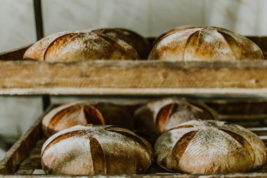 ekmek pişirme. hamur sepet un, kimyon ve buğday kulakları ile ahşap tabloda sağlama içinde. Üstten Görünüm.